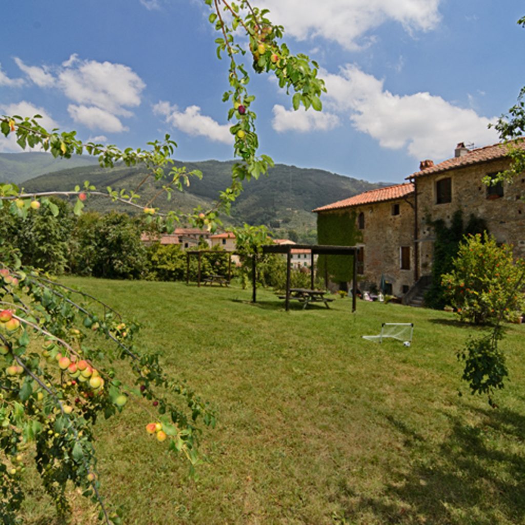 Azienda Agricola Cristiana Ruschi — foto 3